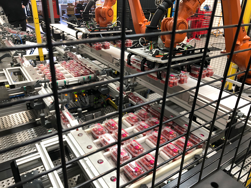 Packaging & Handling Automation img