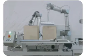 Robotic Case Packing